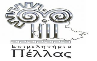 Ημερίδα με θέμα: Προοπτικές & τρόποι ενίσχυσης νεοφυών επιχειρήσεων  (start ups)  στην Περιφέρεια Κεντρικής Μακεδονίας
